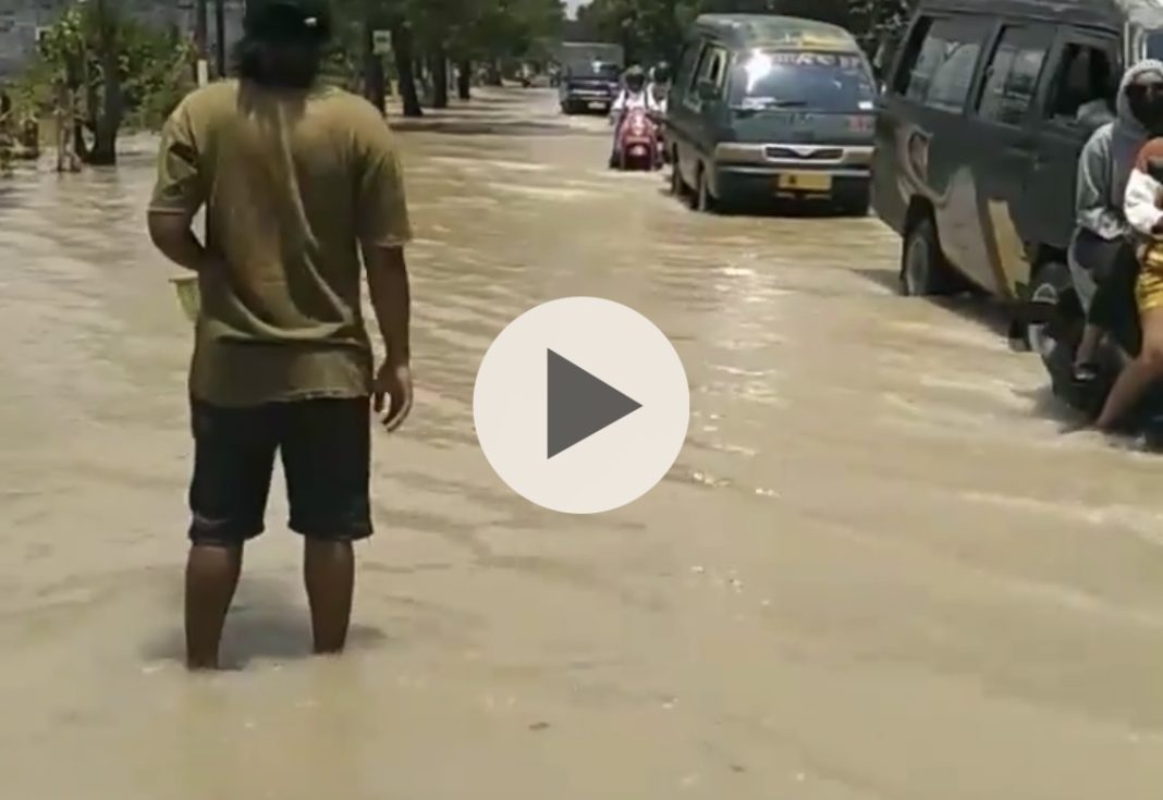 Kali Lamong Meluap, Banjir Kembali Genangi Ratusan Rumah dan Hektar Sawah di Gresik  