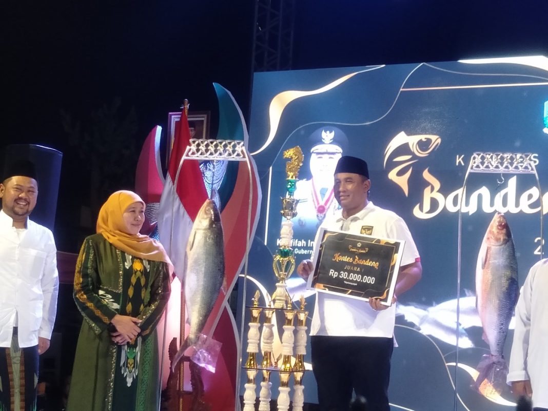 Kontes Bandeng Kawak Gresik, Kades Pangkah Wetan Kembali Sabet Juara Satu